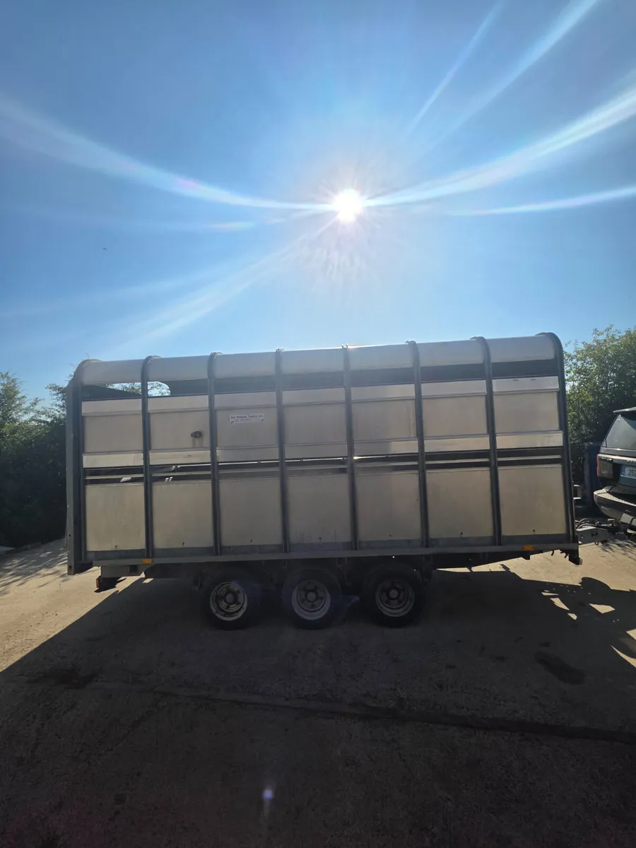 14ft ifor Williams livestock trailer - Image 4