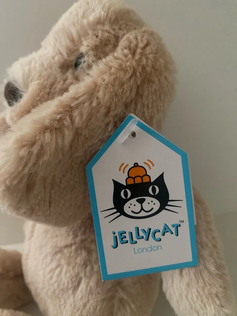 Jellycat Small Bashful Toffee Puppy - Image 2