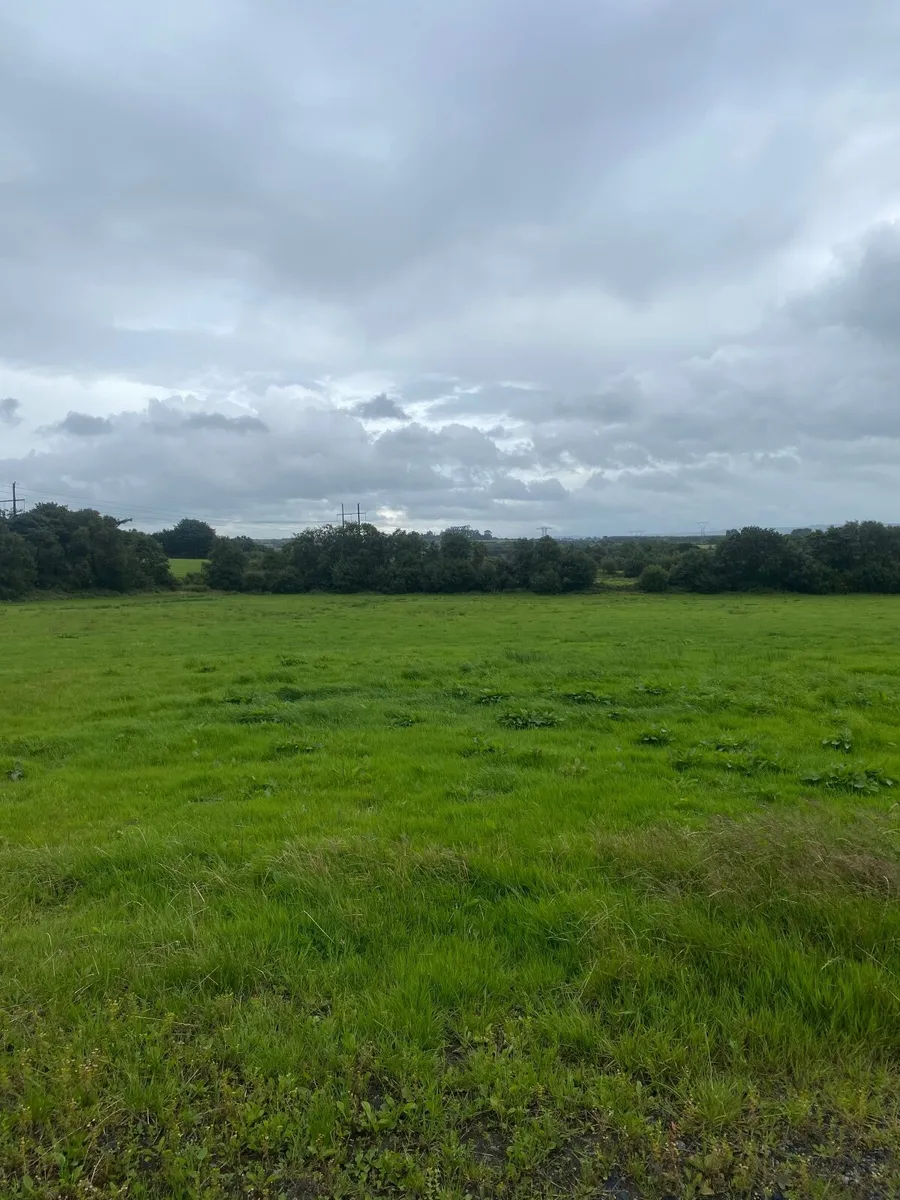 Land to rent for second cut silage