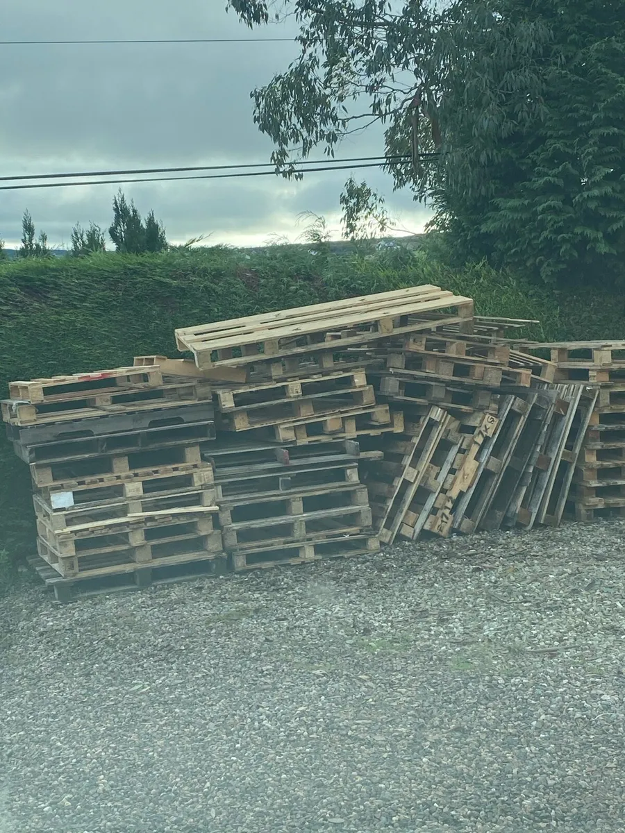 Pallets,kindling,firewood - Image 1