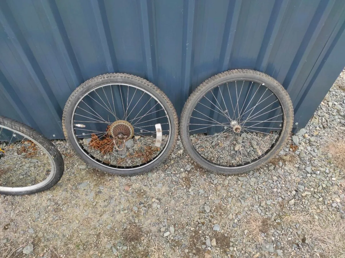 Townsend Colorado bike - Image 2