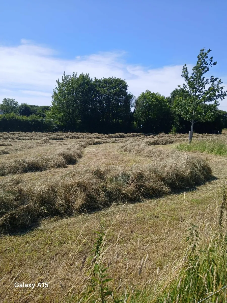 Hay bales