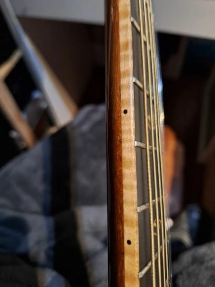 Taylor Fall Limited Edition Cocobolo 2011. - Image 3