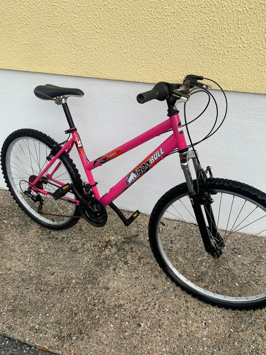 Ladies/Girls Bike - Image 1
