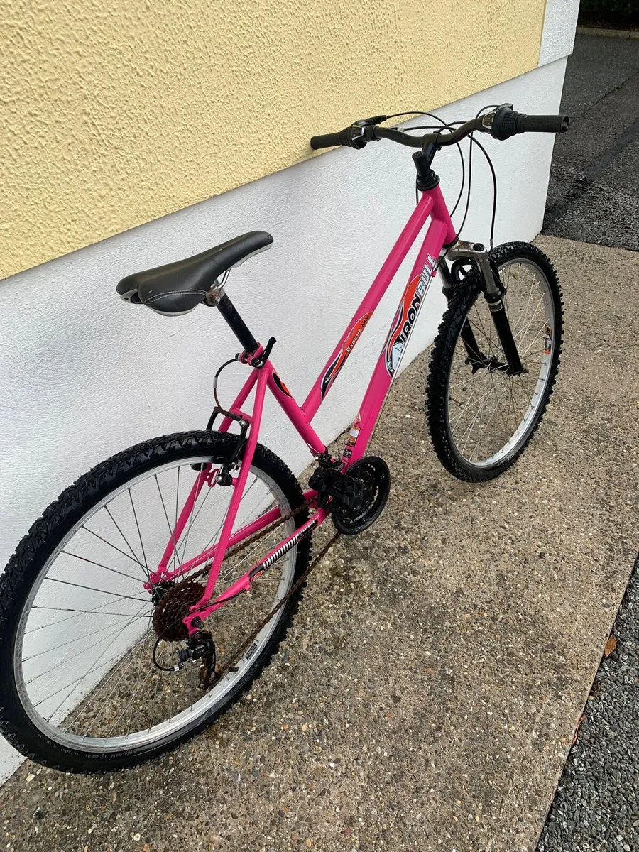 Ladies/Girls Bike - Image 2