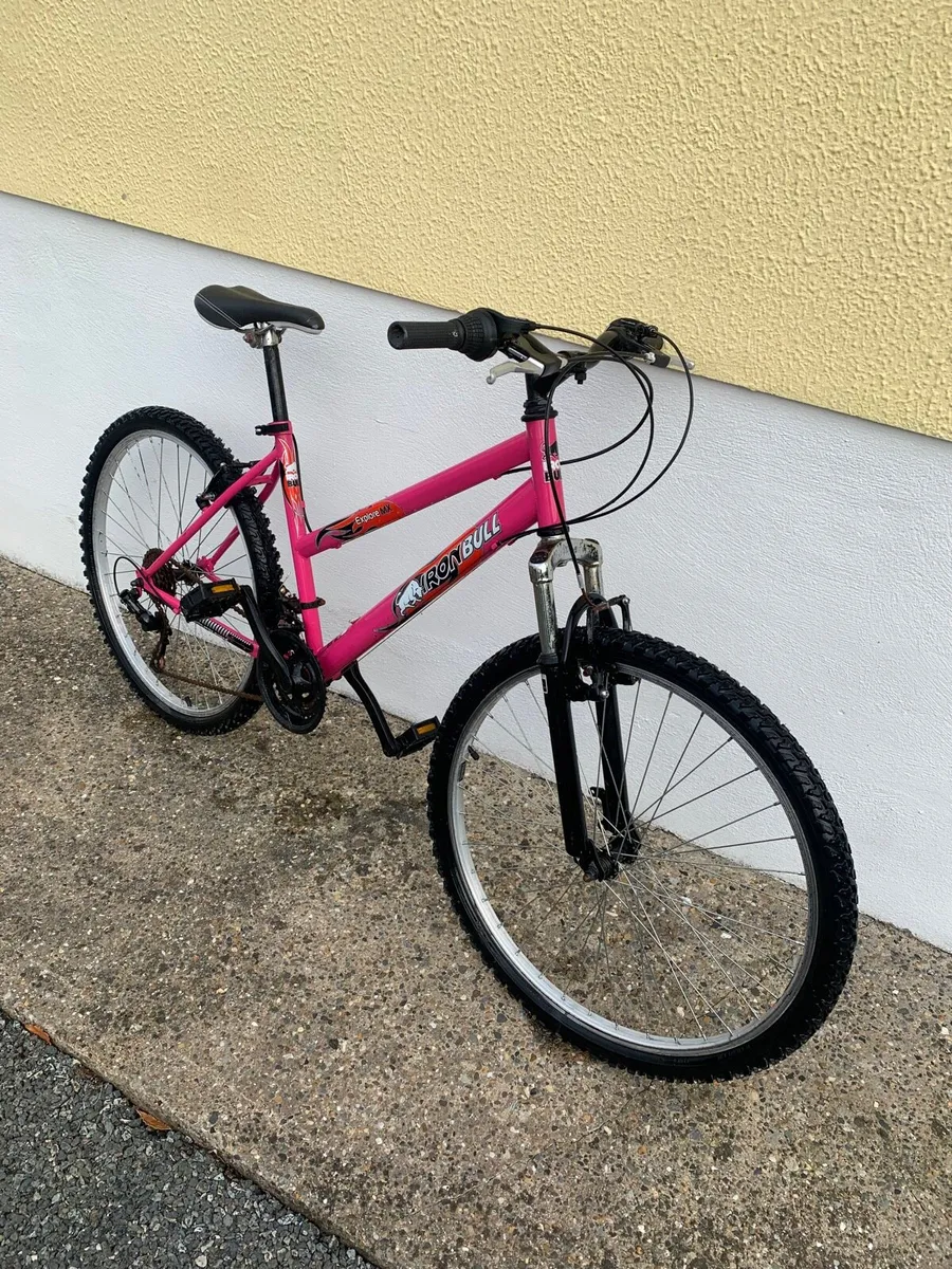 Ladies/Girls Bike - Image 3
