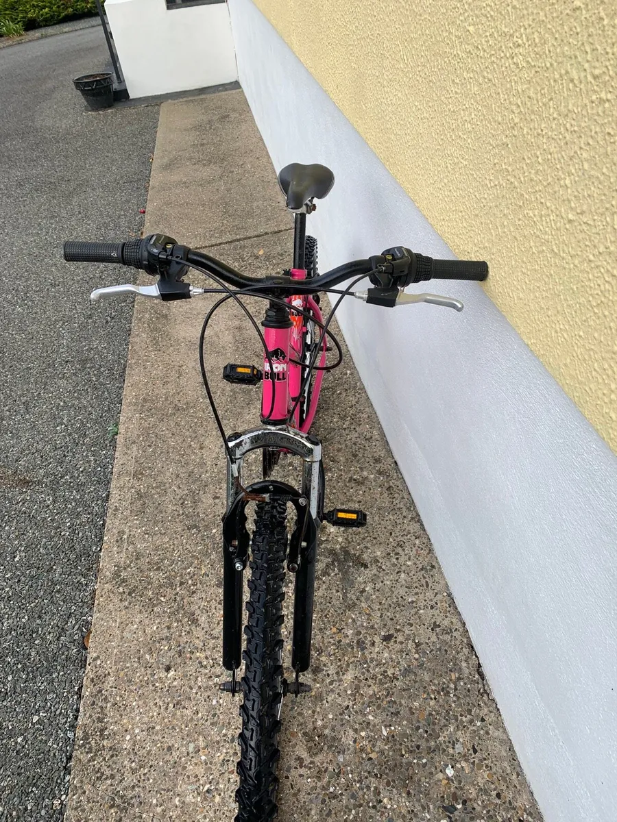 Ladies/Girls Bike - Image 4