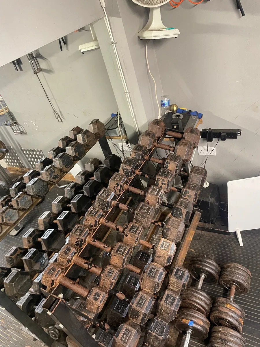 weights - Image 1