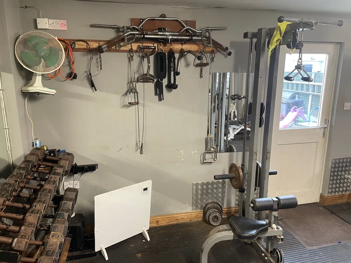 weights - Image 2