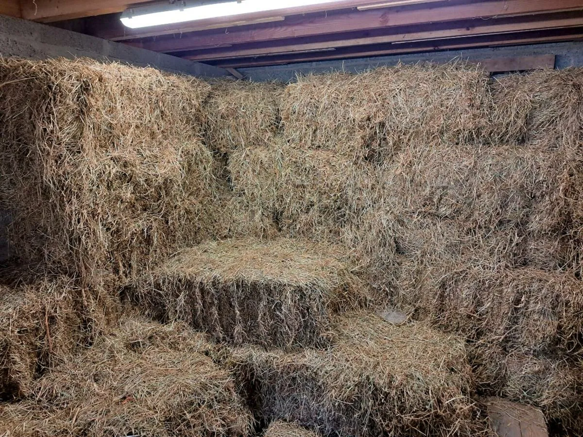 Hay 30 small bales - Image 1