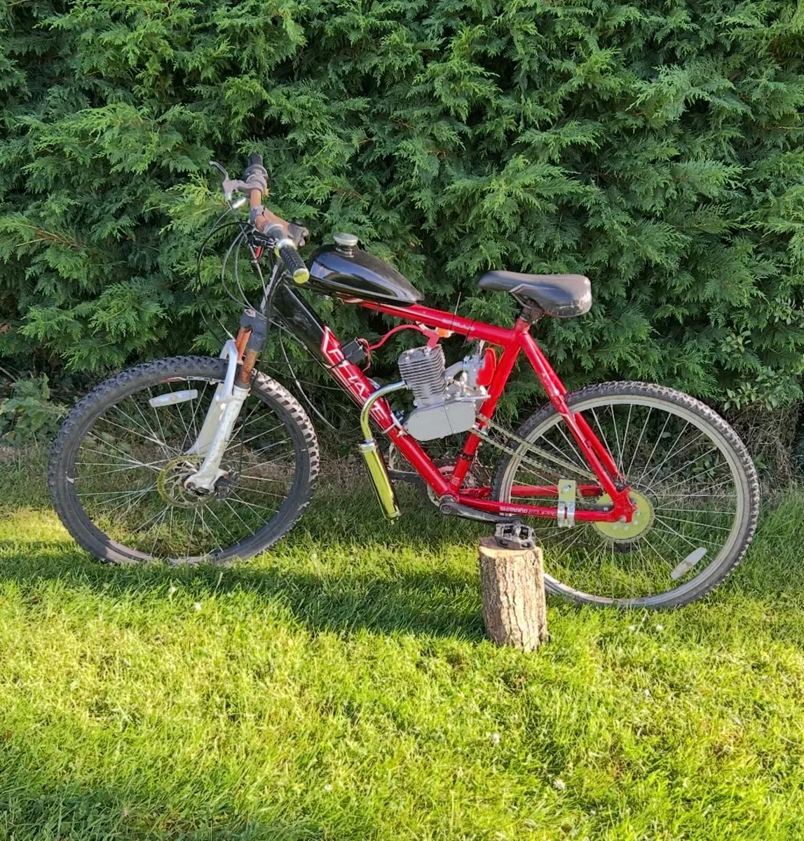 Engine bike 100cc - Image 2