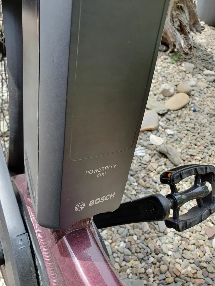 Electric Bike - Image 2