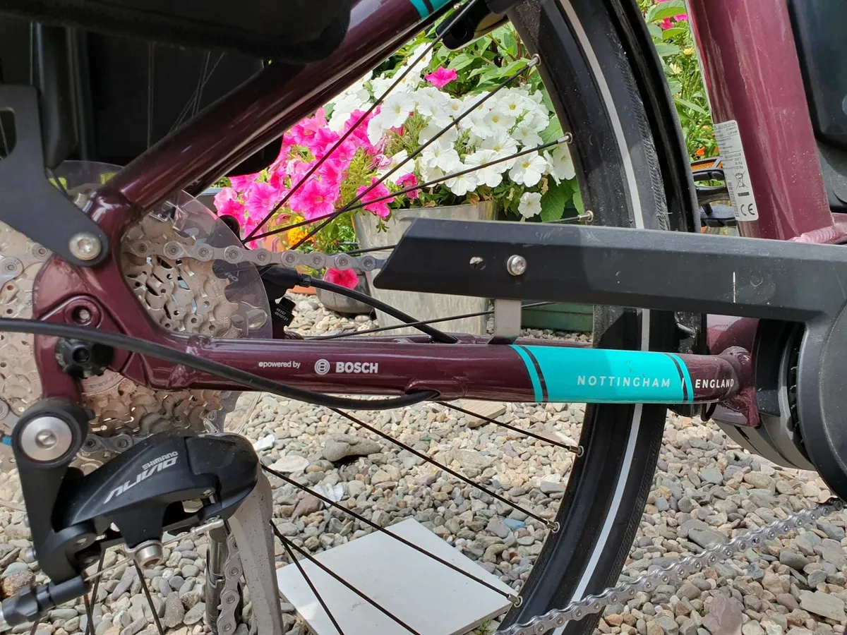 Electric Bike - Image 3