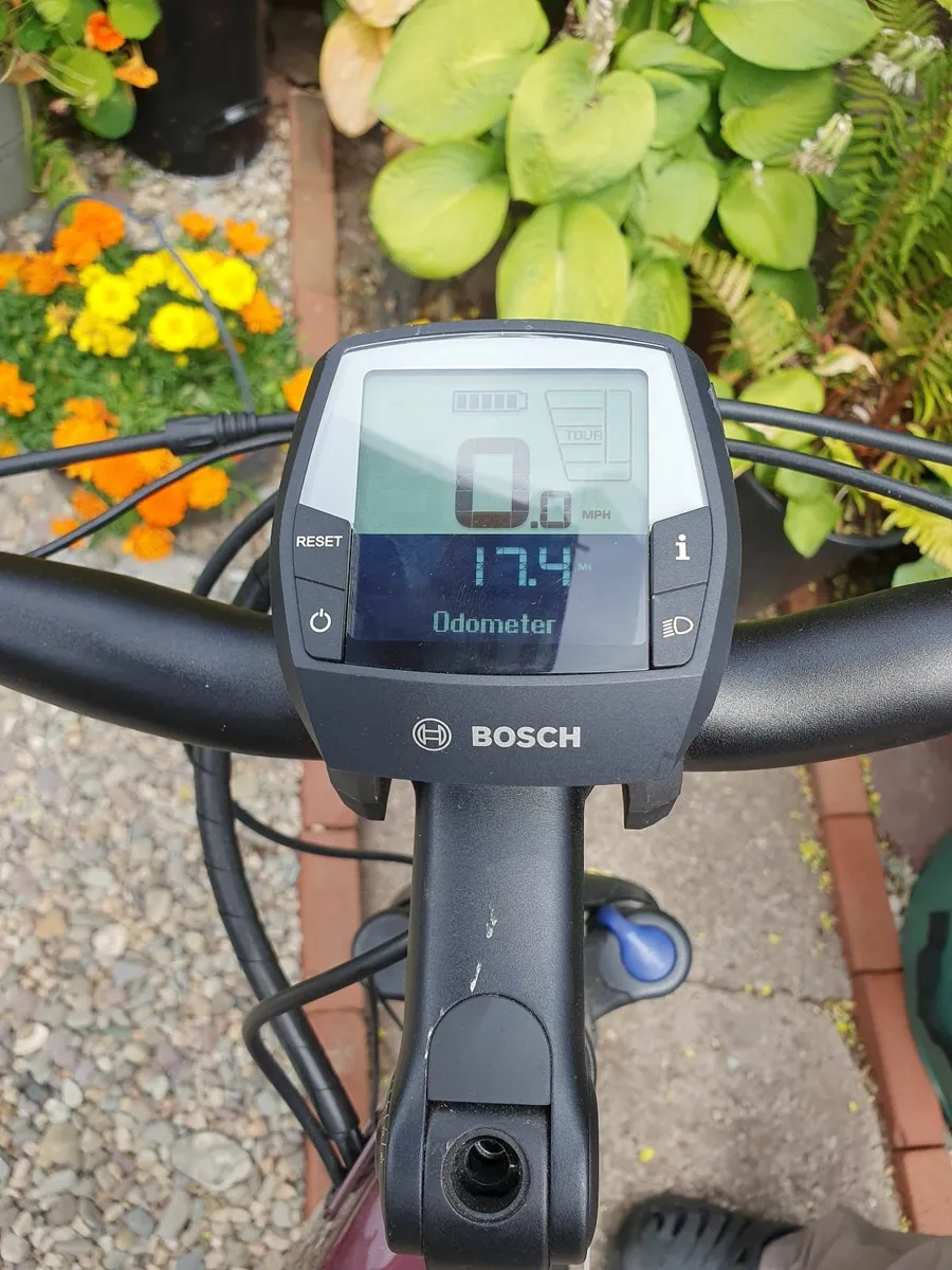 Electric Bike - Image 4