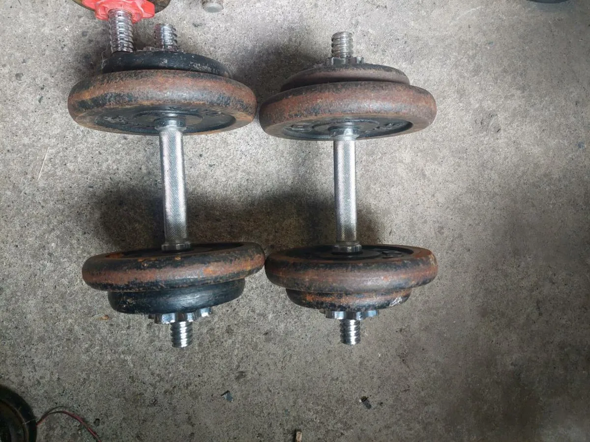 Dumbell cast iron weights 30kg total