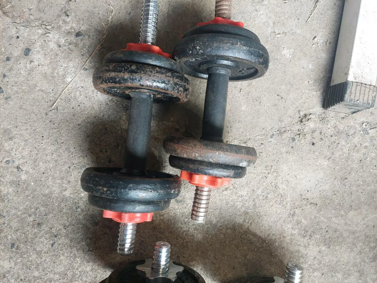 Dumbell cast iron weights 15kg total