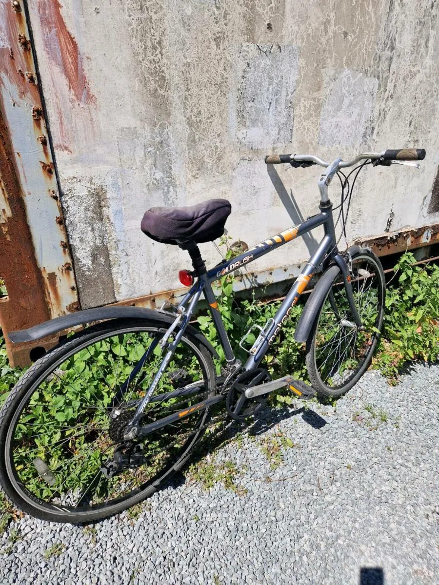 Bikes - Image 4