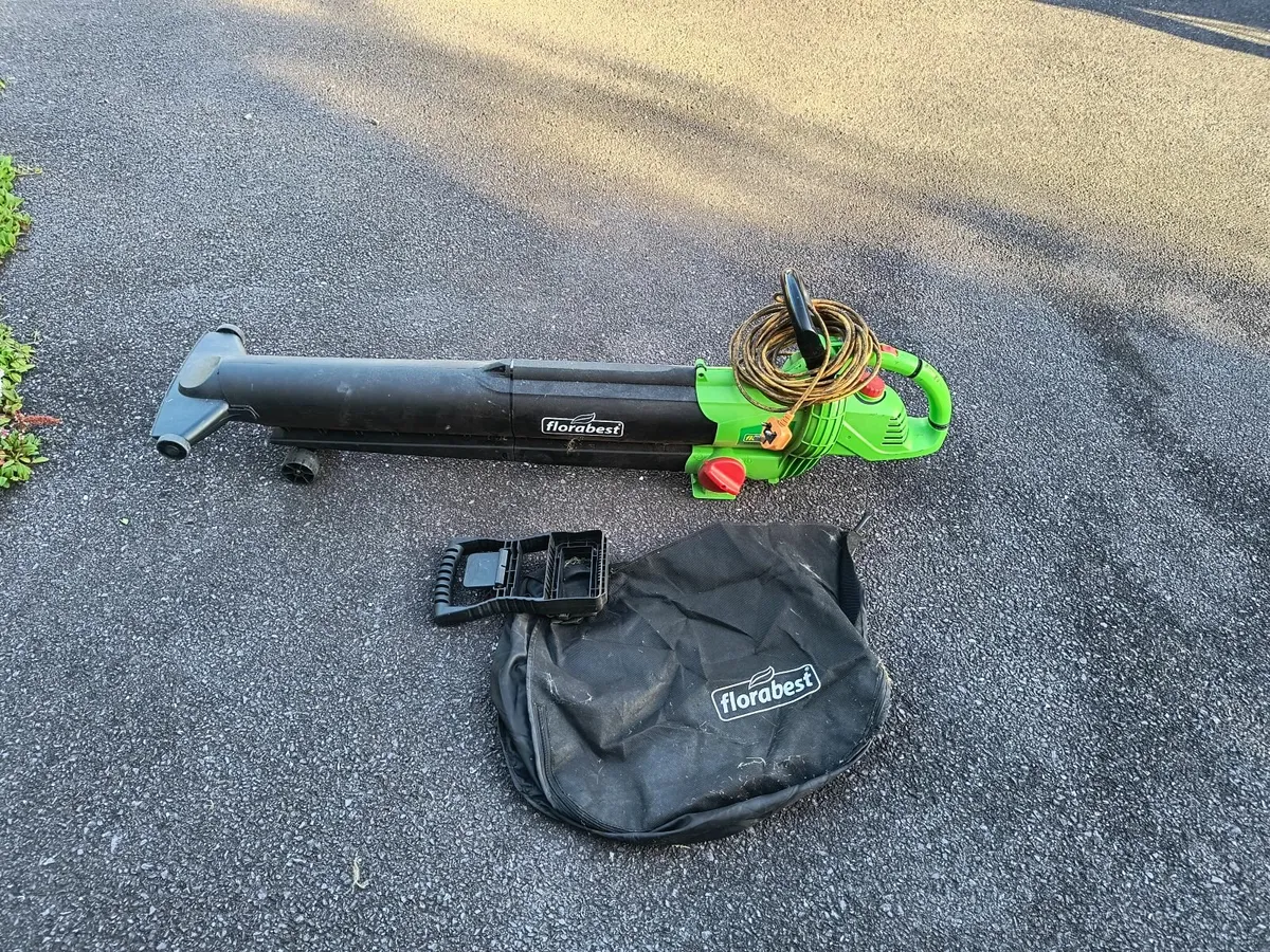 Electric Leaf blower - Image 1