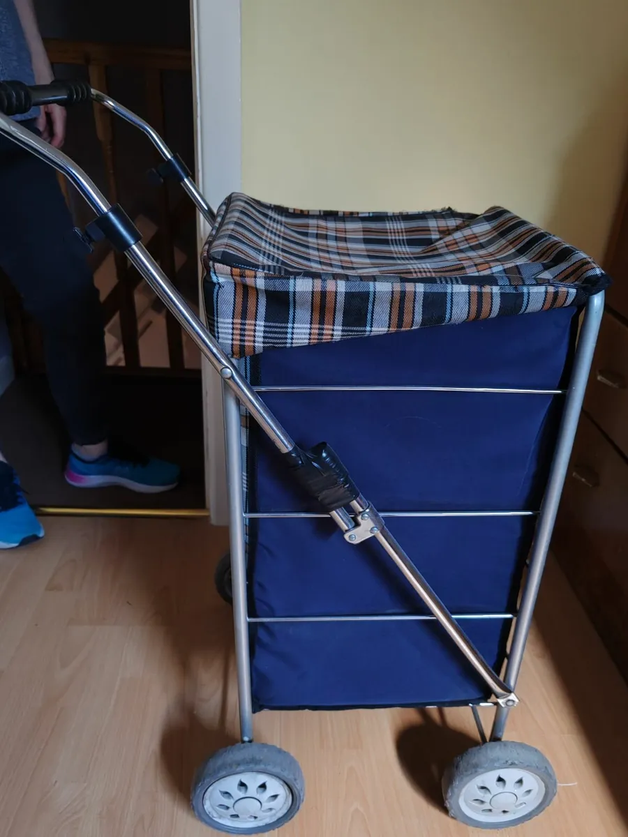 Shopping Trolley - Image 1