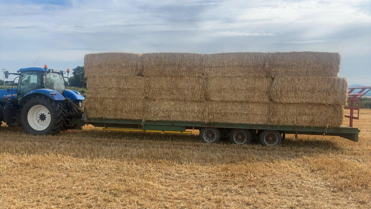 Straw - Image 1