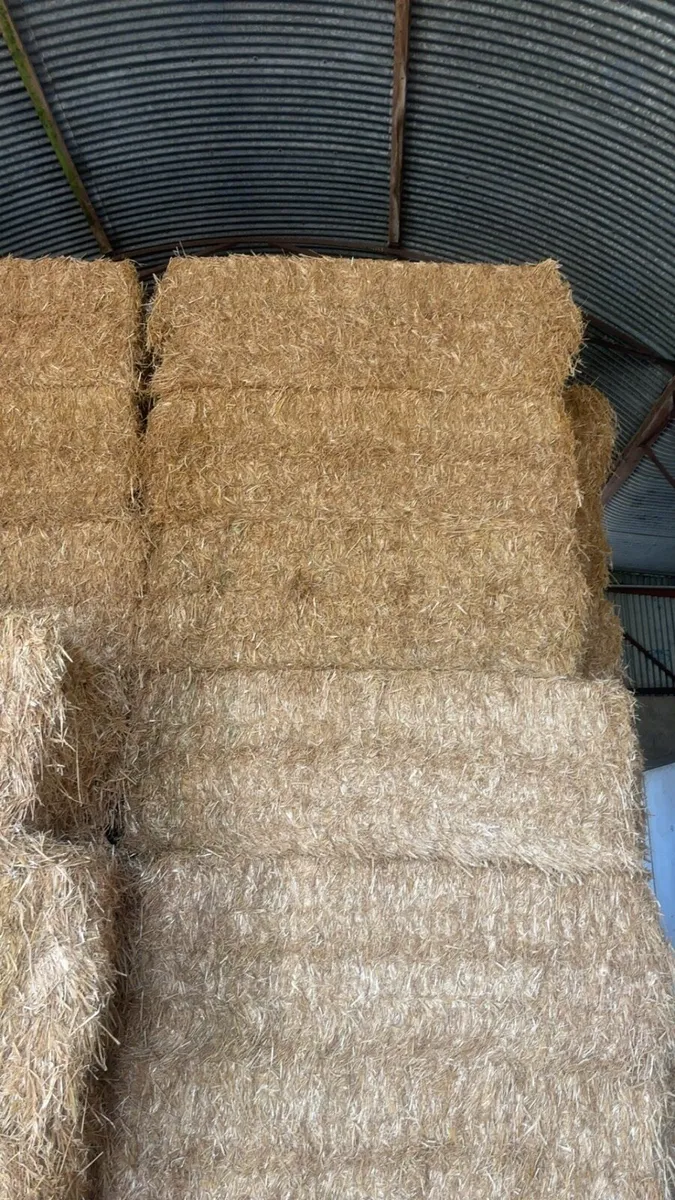 Straw - Image 3
