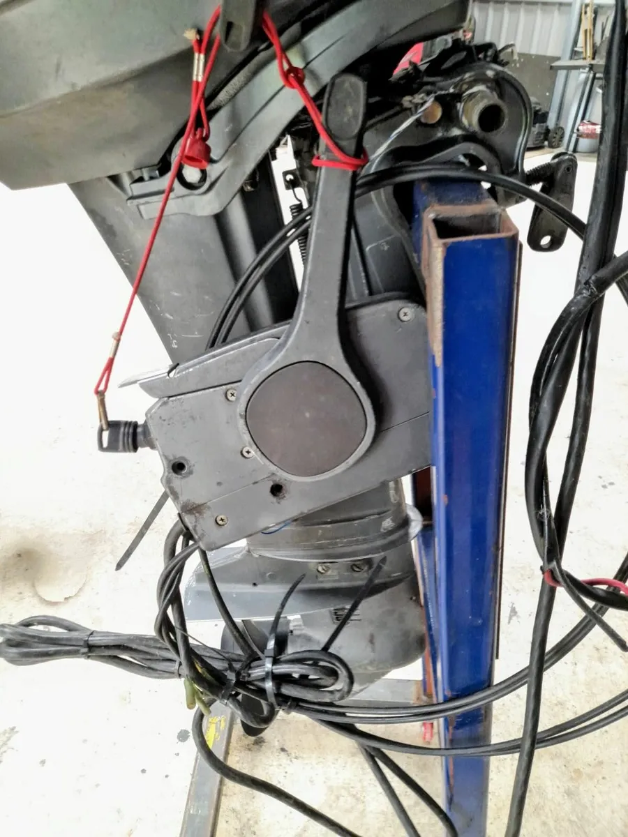 Suzuki DT25 Autolube - Image 4