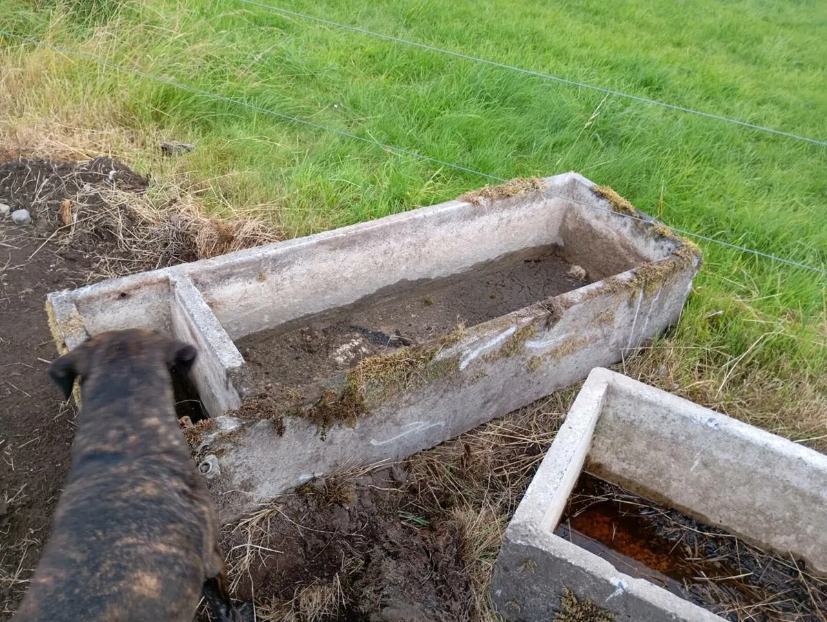 Concrete water feeders - Image 2