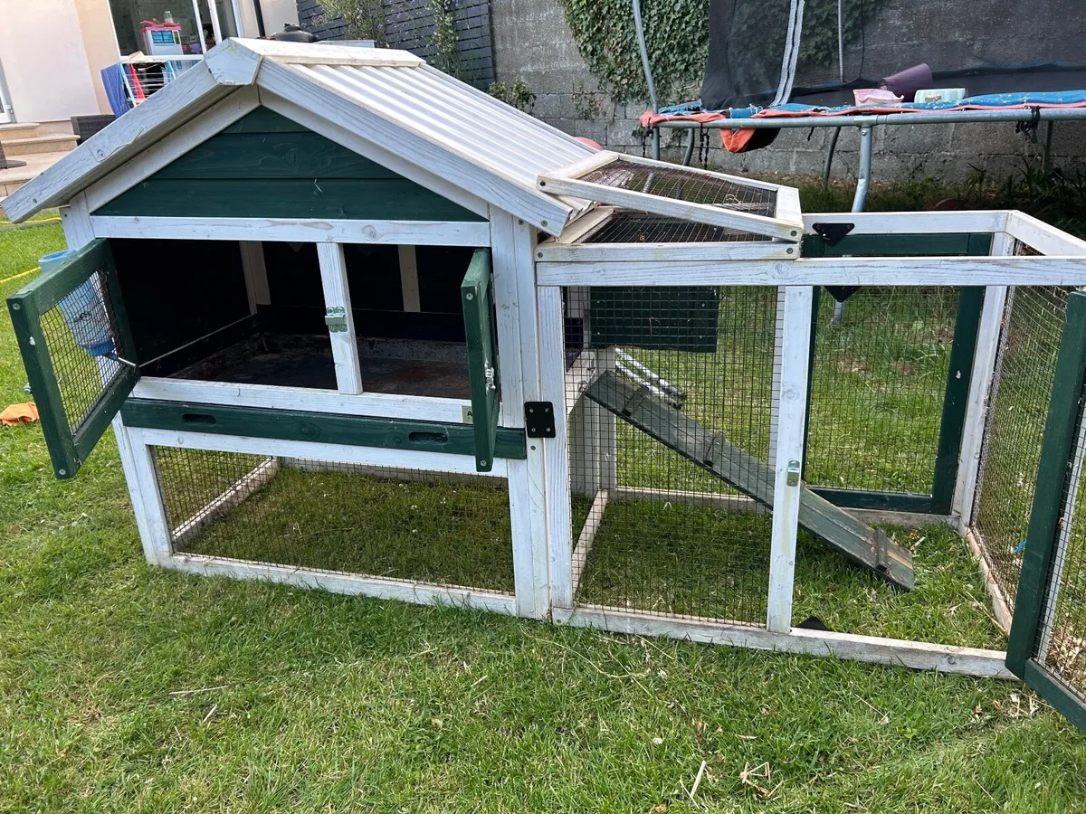 Hutch & Cage for Dwarf Rabbits / Guinea Pigs - Image 3