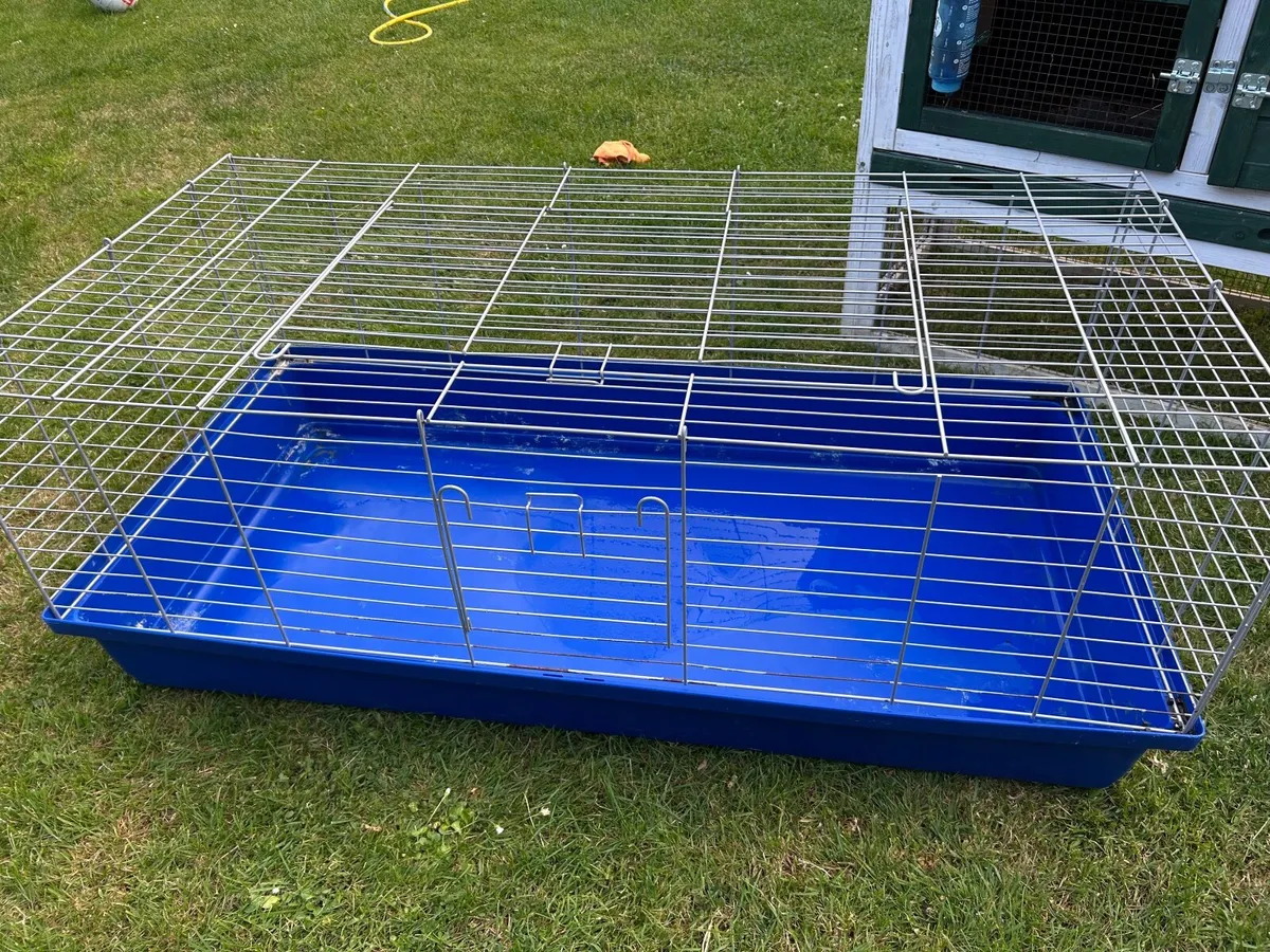 Hutch & Cage for Dwarf Rabbits / Guinea Pigs - Image 4