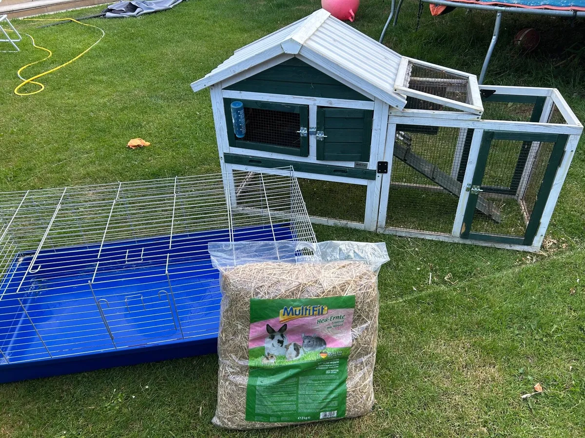 Hutch & Cage for Dwarf Rabbits / Guinea Pigs - Image 2