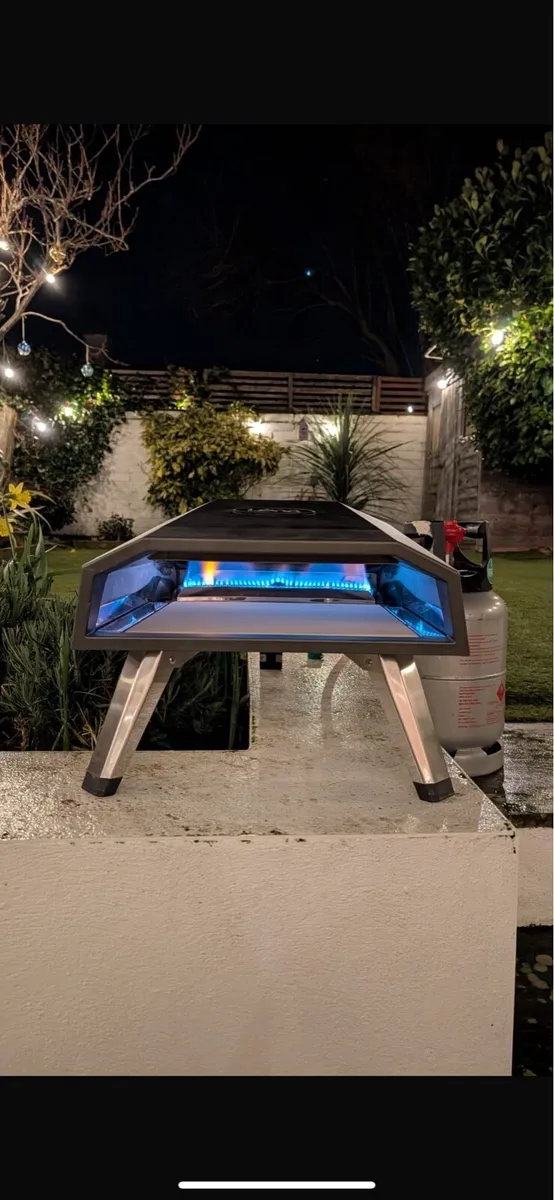 Pizza ovens ( Wood/ Pellet or Gas) - Image 3