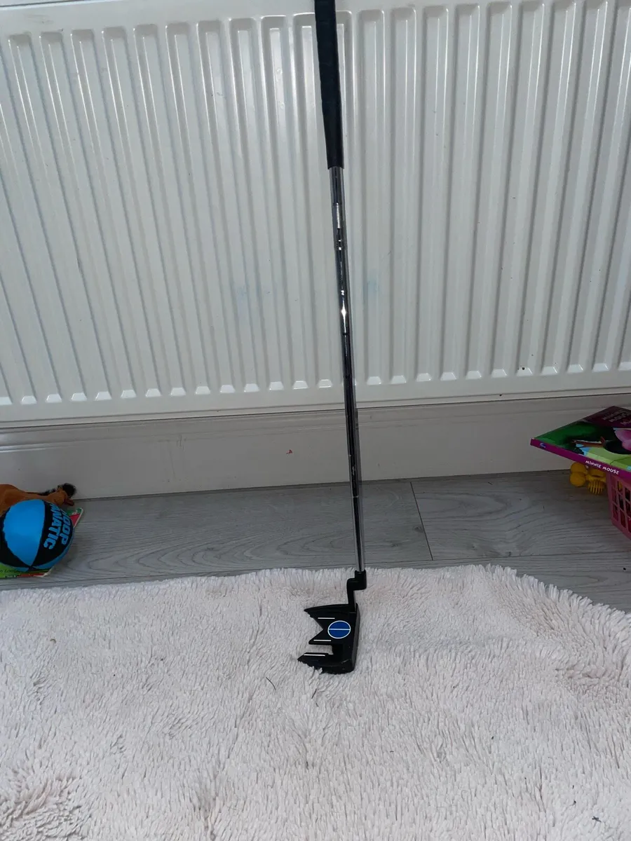 Golf club - Image 1