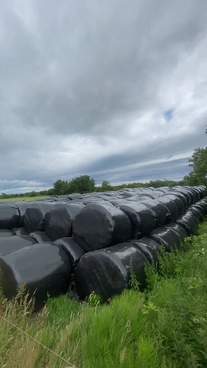 Silage