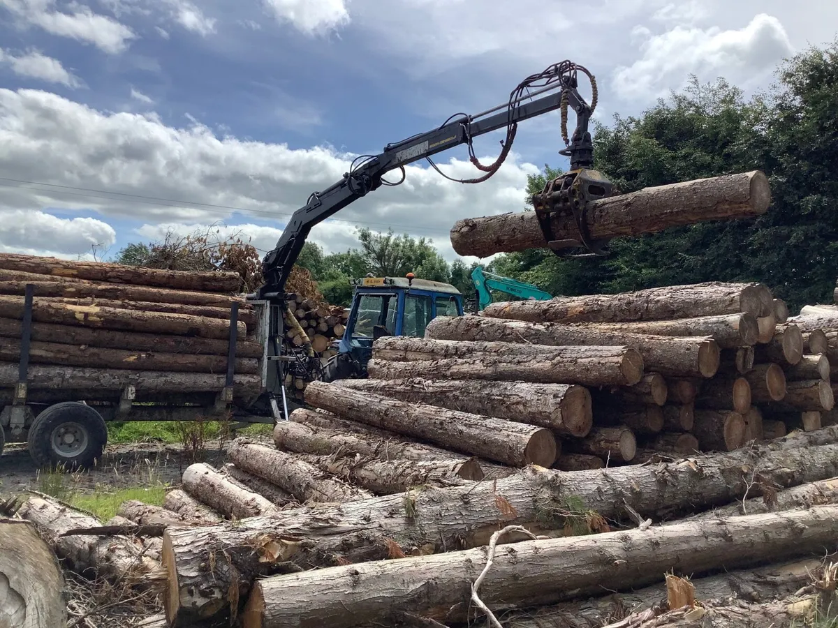 Forestry trailer - Image 4