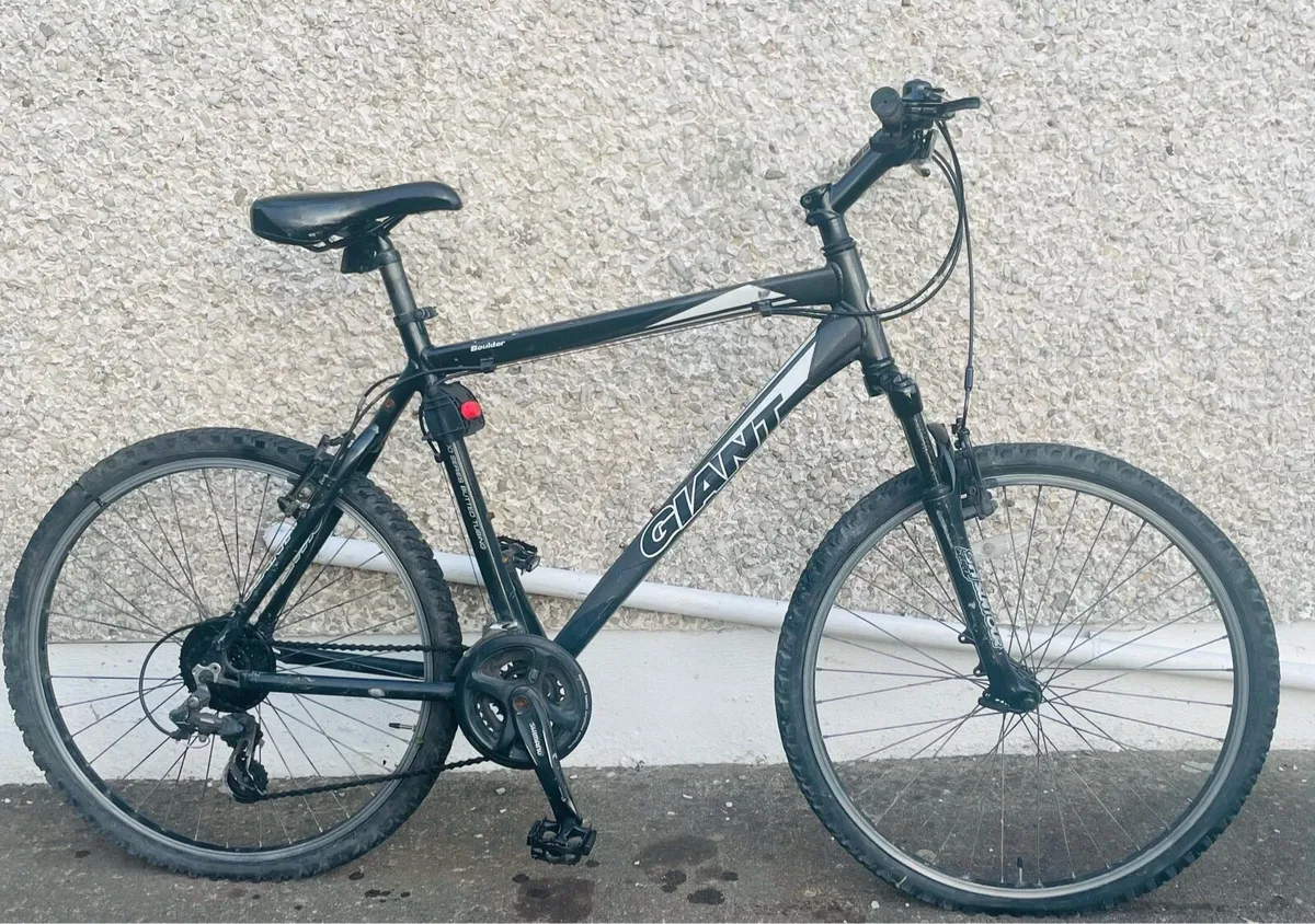 Giant bicycle for sale .