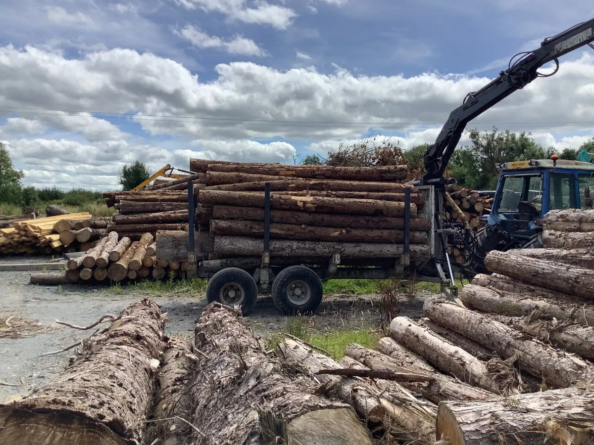 Forestry trailer - Image 1