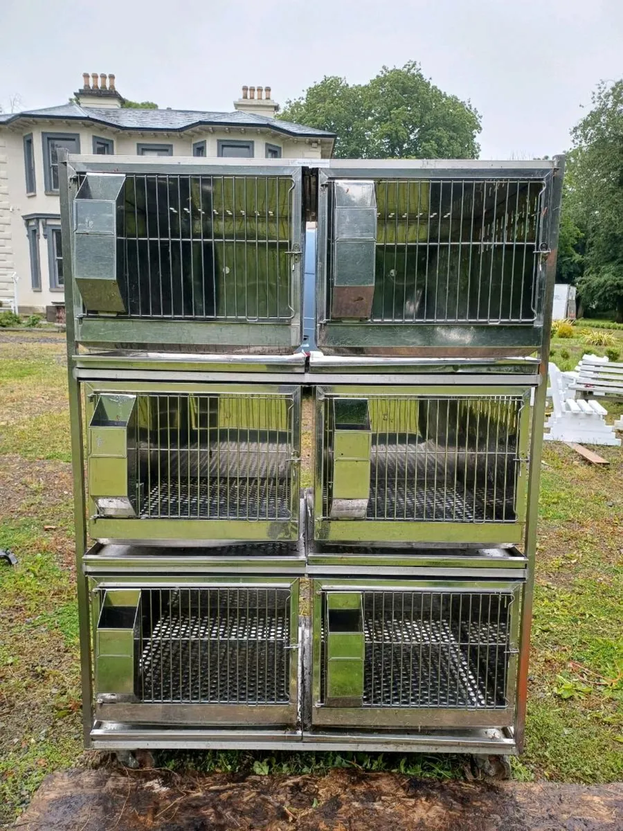 Pet display unit - Image 1