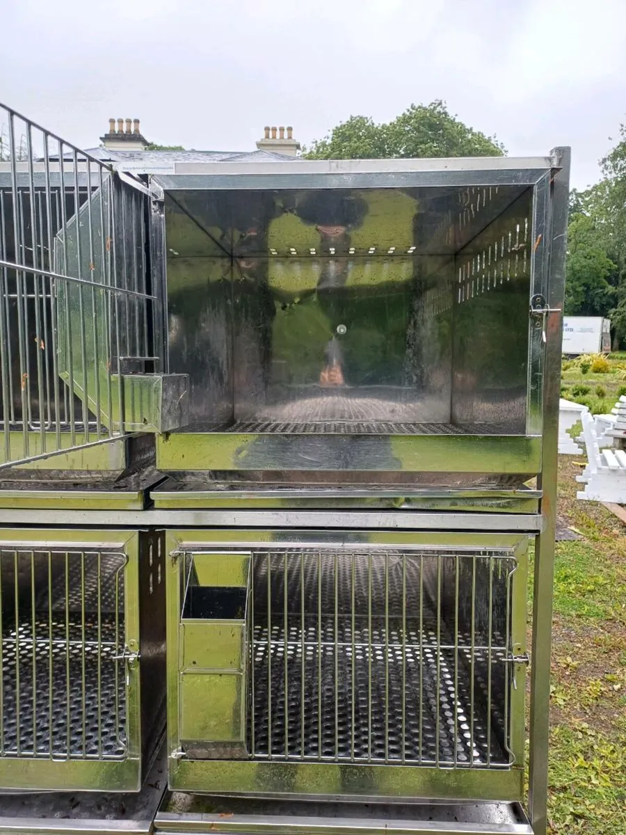 Pet display unit - Image 2