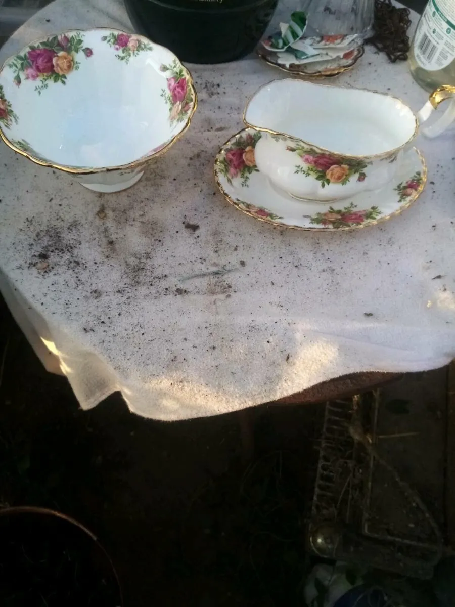 Old country rose - Image 3