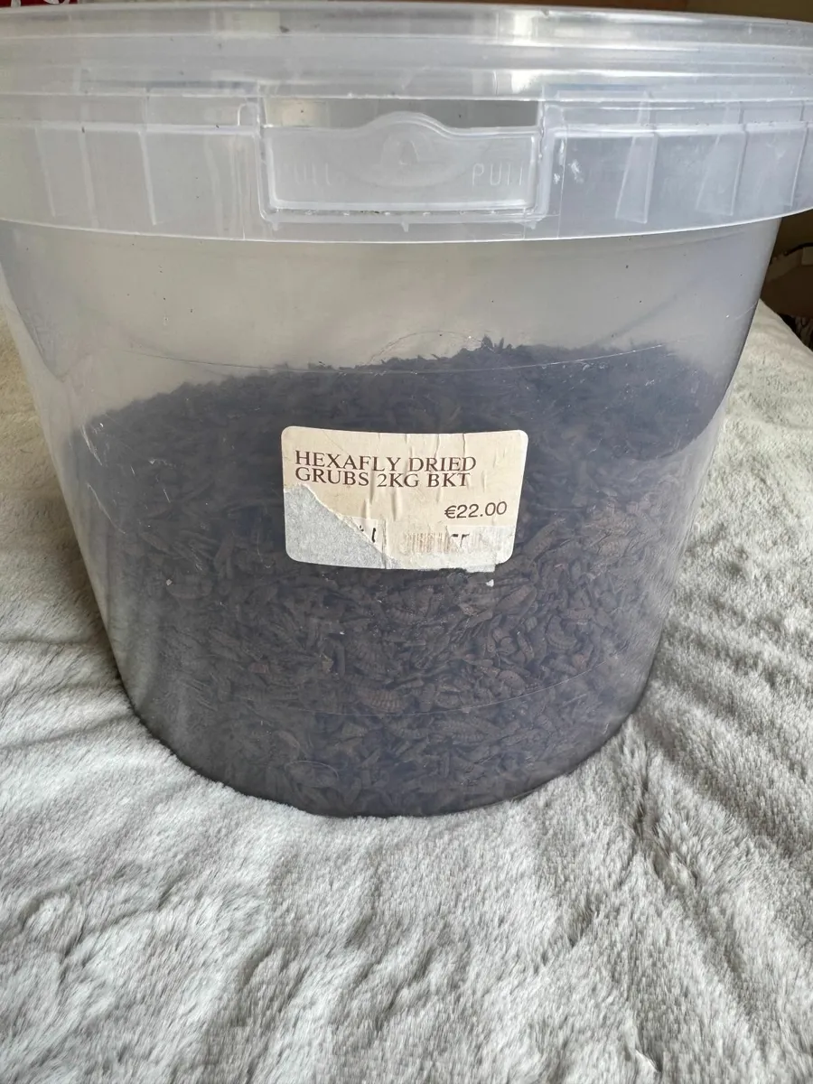 Hexafly dried grubs - Image 1