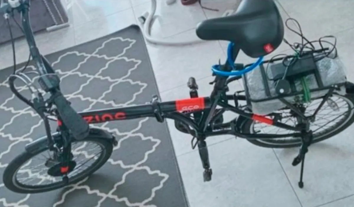 Electrical bike - Image 2