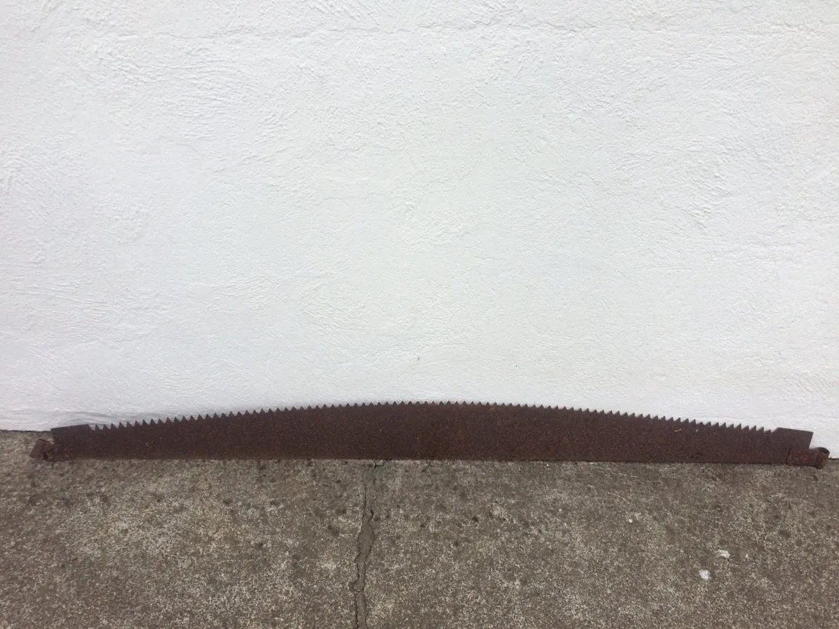 Two Vintage Cross Cut Saws - Image 3