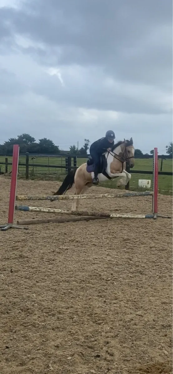 Palomino and White Pony - Image 4