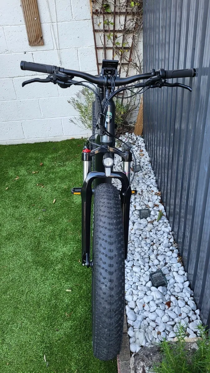 Electric Mountain bike - Ape Ryder Buffalo - Image 3