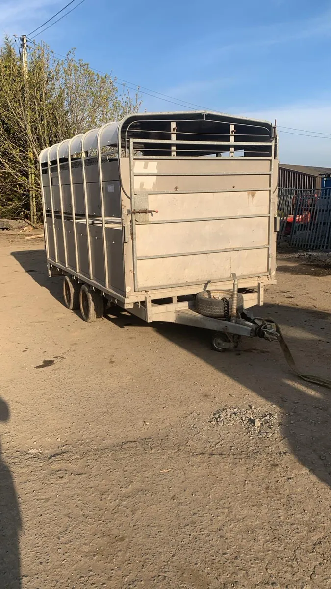 Hudson 12ft cattle trailer - Image 1