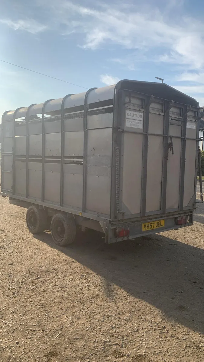 Hudson 12ft cattle trailer - Image 2