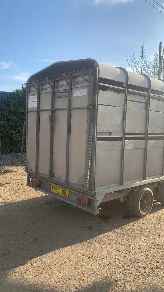 Hudson 12ft cattle trailer - Image 3