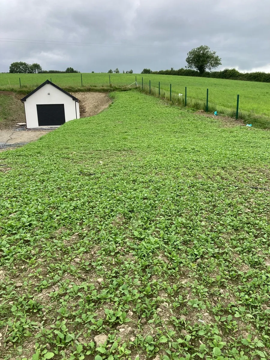 Landscaping - Image 1