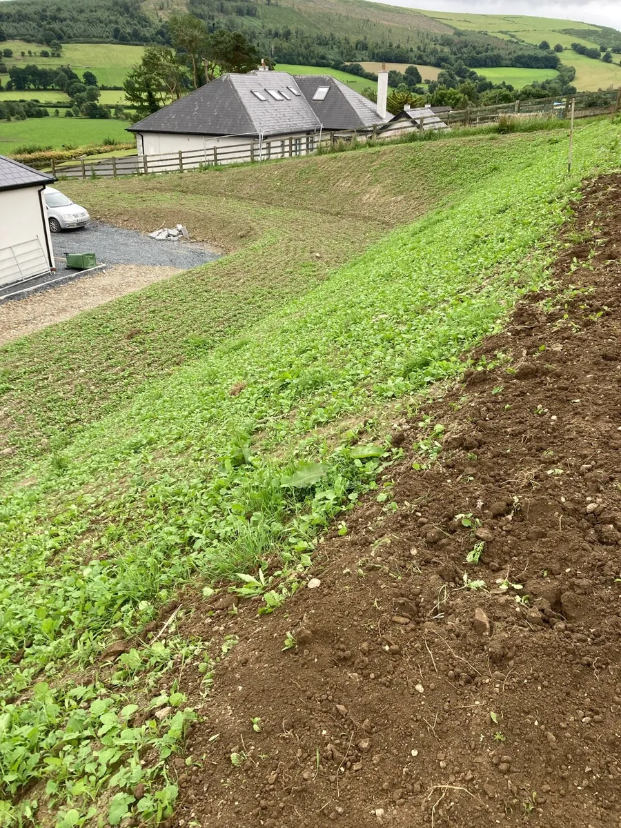 Landscaping - Image 3