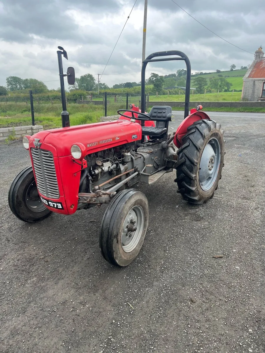 Massey Ferguson - Image 1